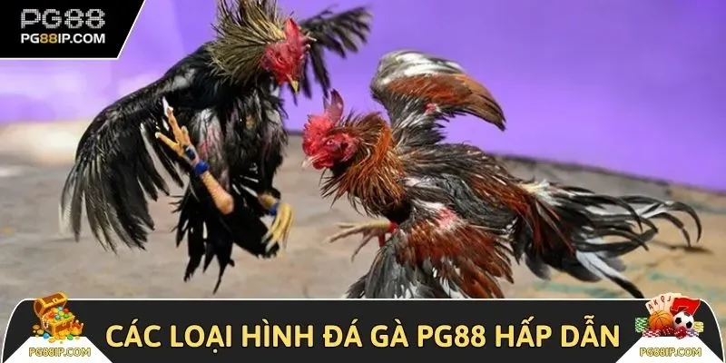 Các loại hình hấp dẫn nên trải nghiệm tại đá gà PG88