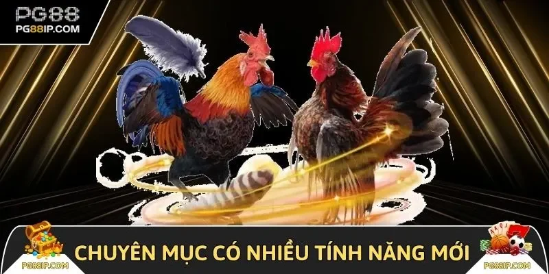 Chuyên mục được trang bị nhiều tính năng mới hấp dẫn
