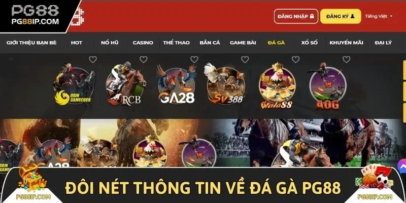 Đôi nét thông tin về đá gà PG88